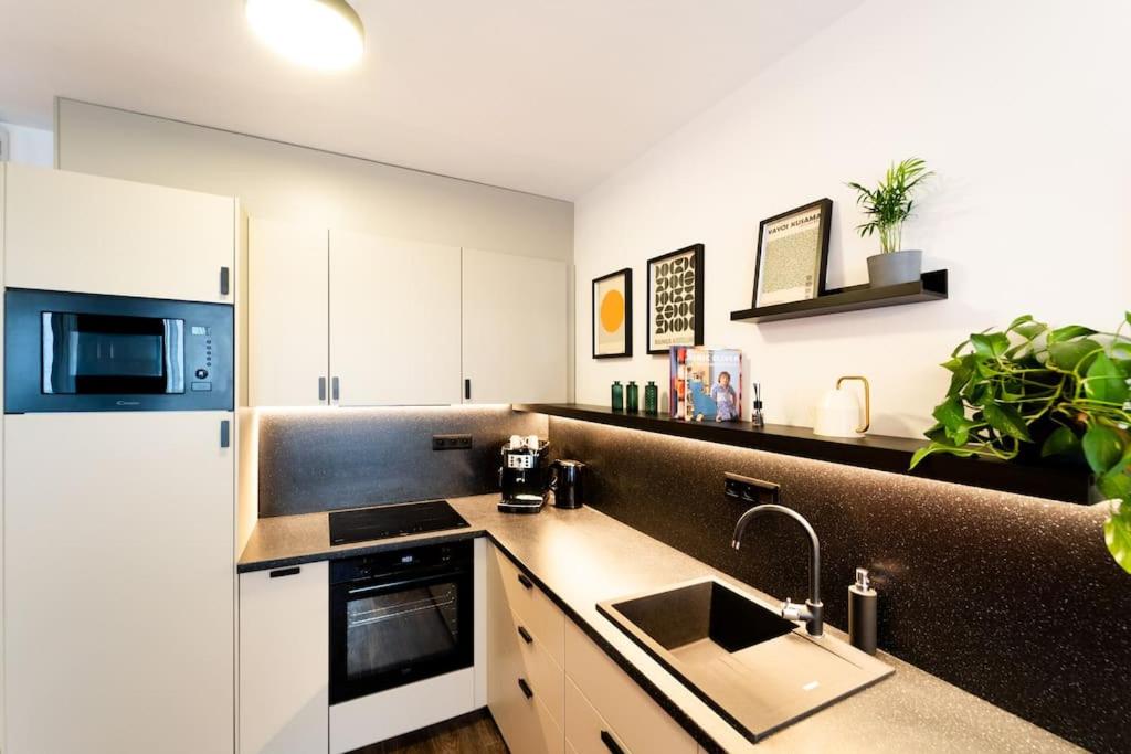 Kuchyň nebo kuchyňský kout v ubytování Gold Garden Terrace Apartment
