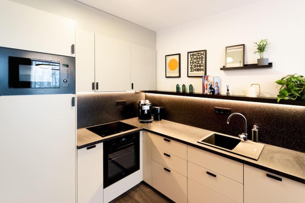 Kuchyň nebo kuchyňský kout v ubytování Gold Garden Terrace Apartment