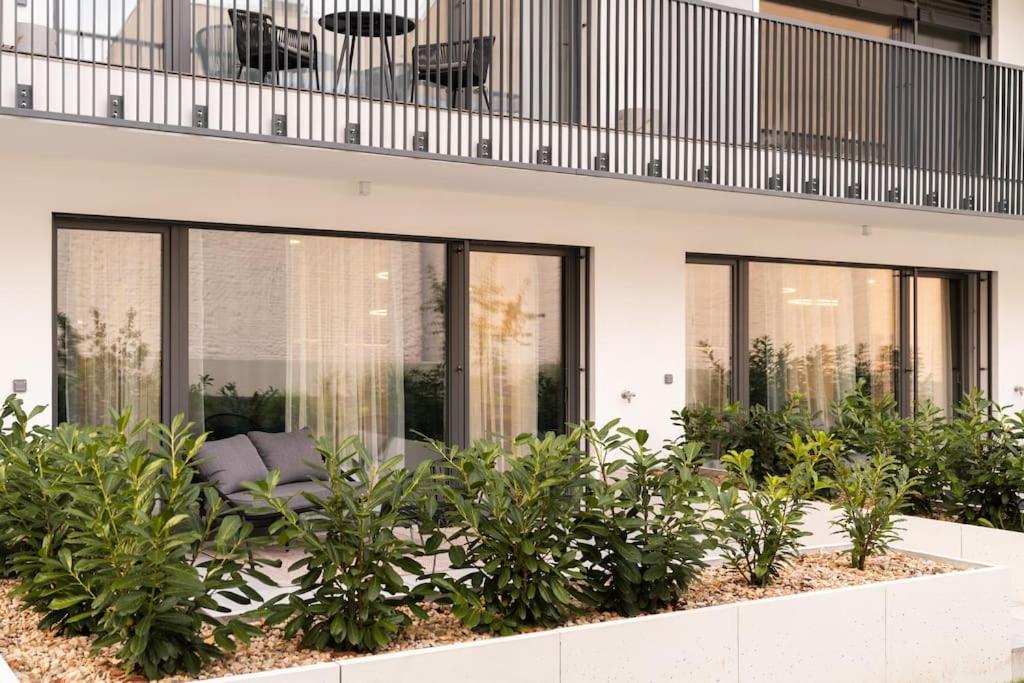 Zahrada ubytování Gold Garden Terrace Apartment