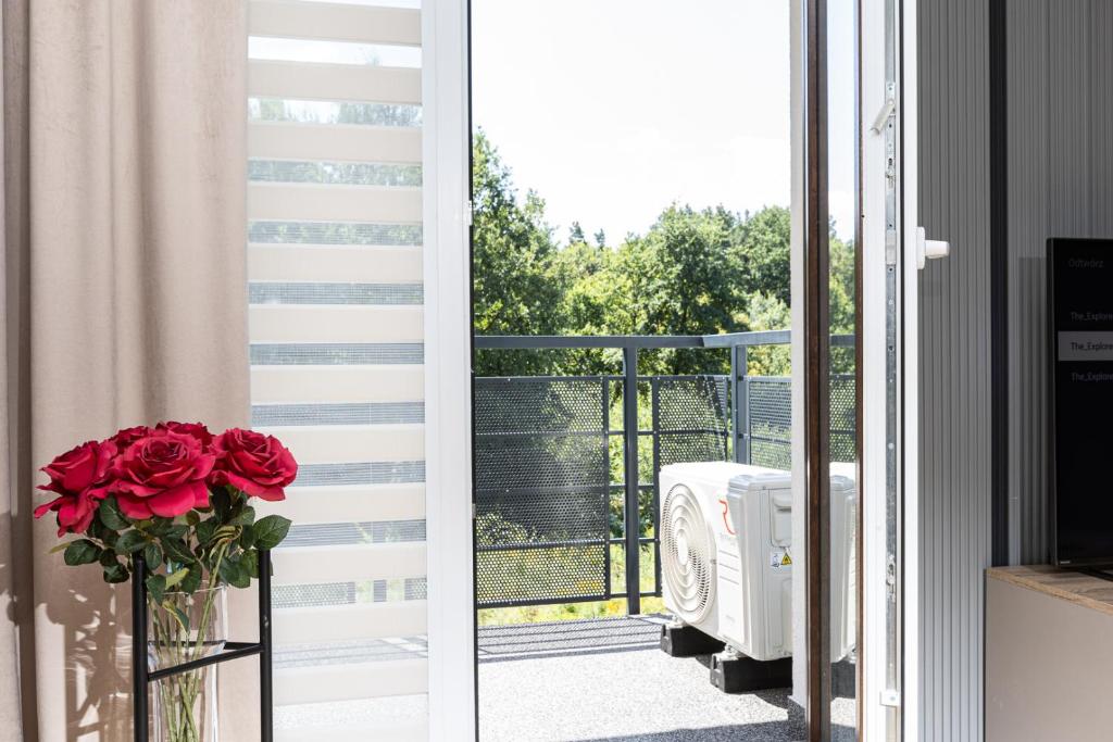 Apartamenty FIGARETTI - 10