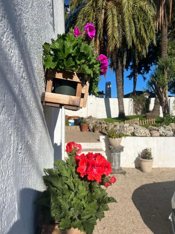 Zahrada ubytování Marbella别墅独立房带泳池
