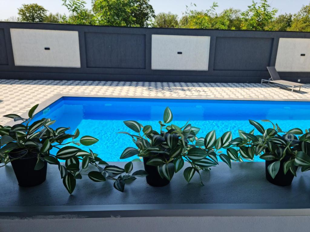 Bazén v ubytování Grey House nebo v jeho okolí