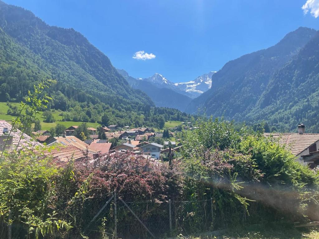 a village in a valley with mountains in the background at Vintage Apartment By Apartments Capricorn in Gsteigwiler