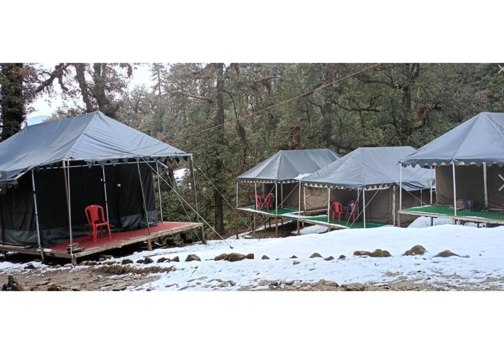 Camps in Chopta