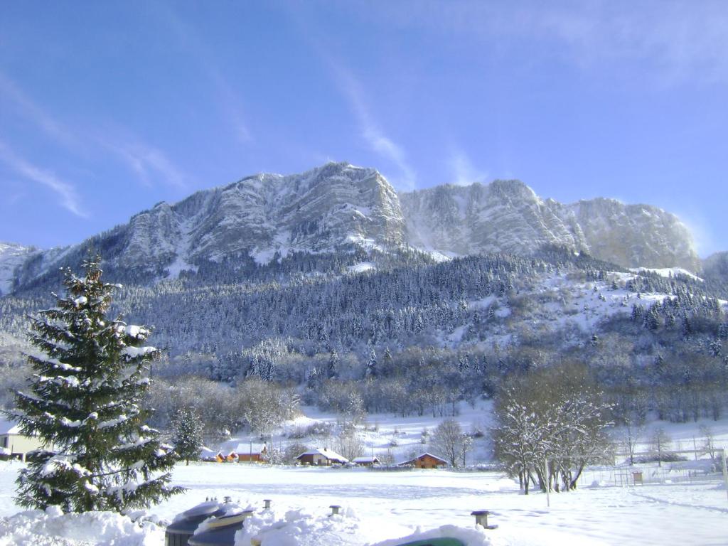 a snow covered mountain with a christmas tree in the foreground at Studio plein sud, Wifi, Parking in Thollon