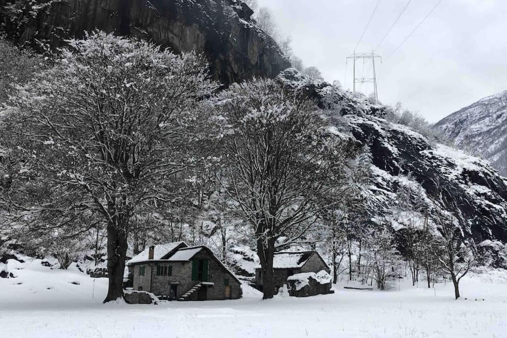 Rustico Gin Avegno Torbecc, Vallemaggia, Tessin, talvel