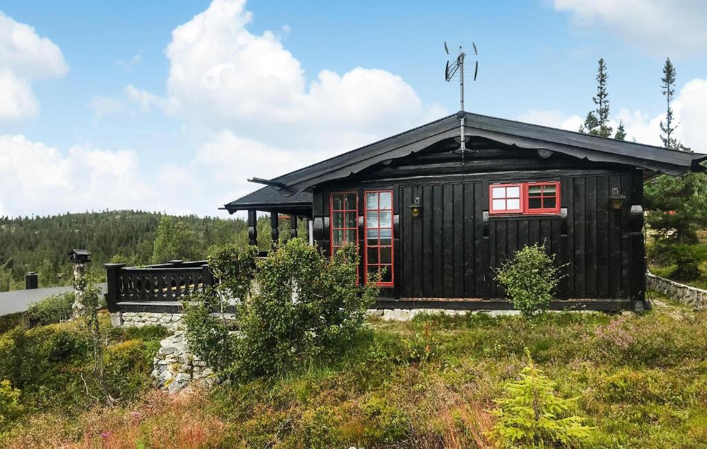 a small black house with red windows in a field at 4 Bedroom Beautiful Home In Engerdal in Nymoen