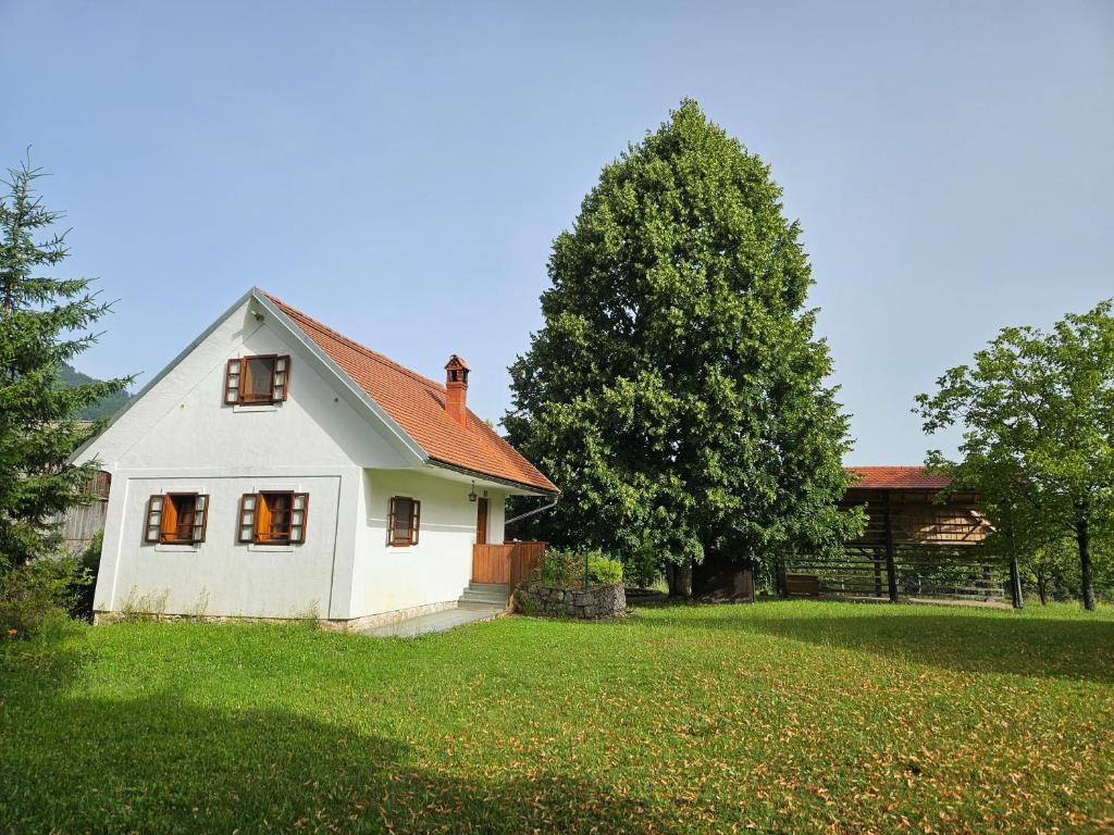 a white house in a yard with a tree at Mežnarija - Cerovec in Dolenjske Toplice