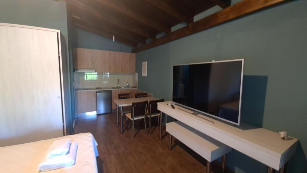 a living room with a large flat screen tv on the wall at Edem Studios in Syvota