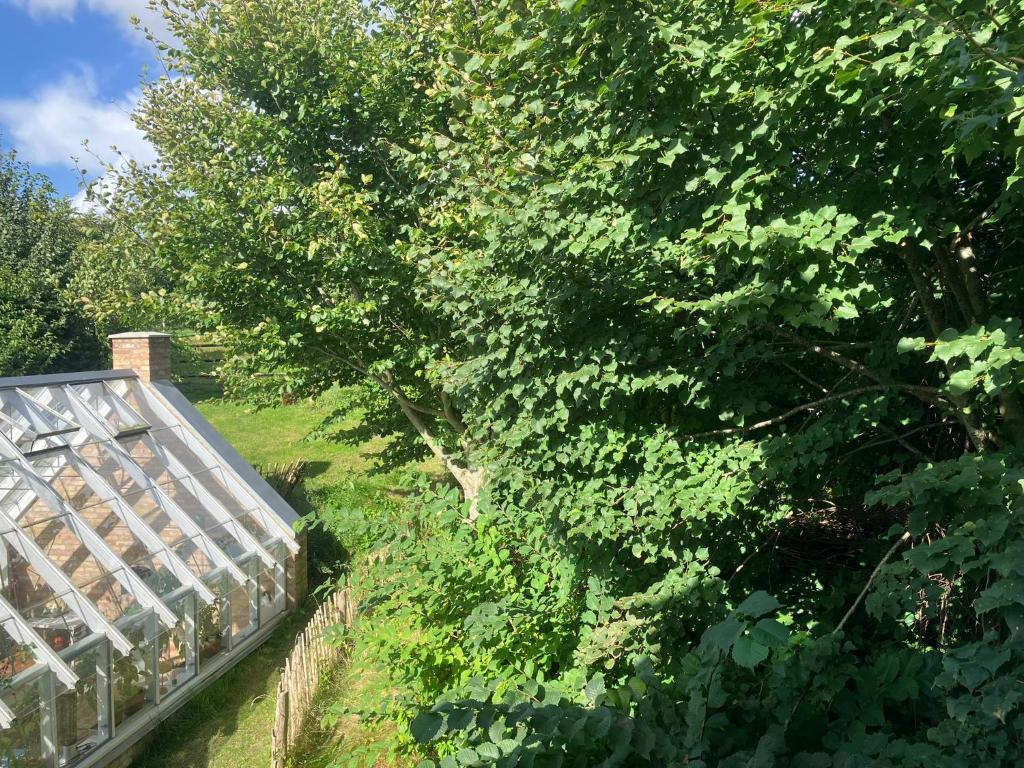 Zahrada ubytování Krogsgaarden B&B