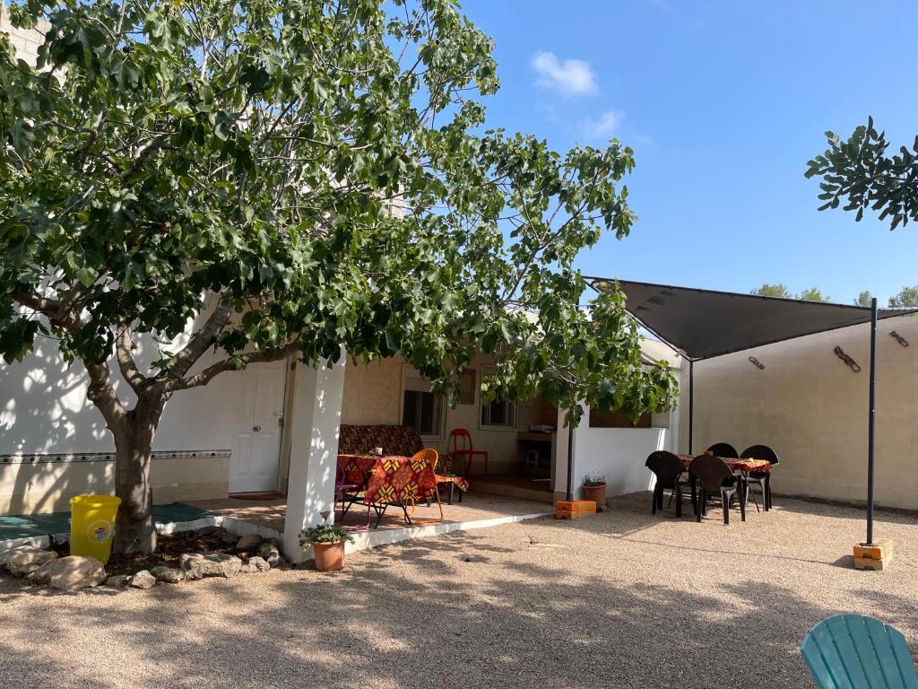un patio con albero, tavoli e sedie di El Refujio maison independante avec vraie piscine privée au sel chauffee pas de chlore a Turís