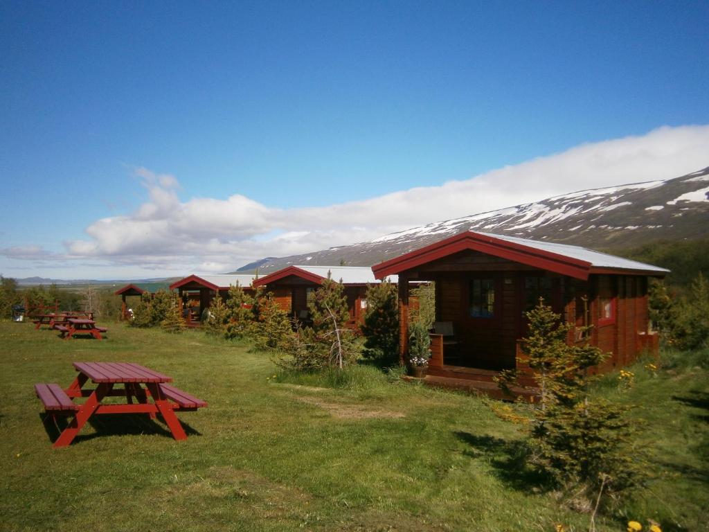 eine Gruppe von Hütten mit einem Picknicktisch im Gras in der Unterkunft Stora Sandfell Rooms and Cottages in Stóra-Sandfell