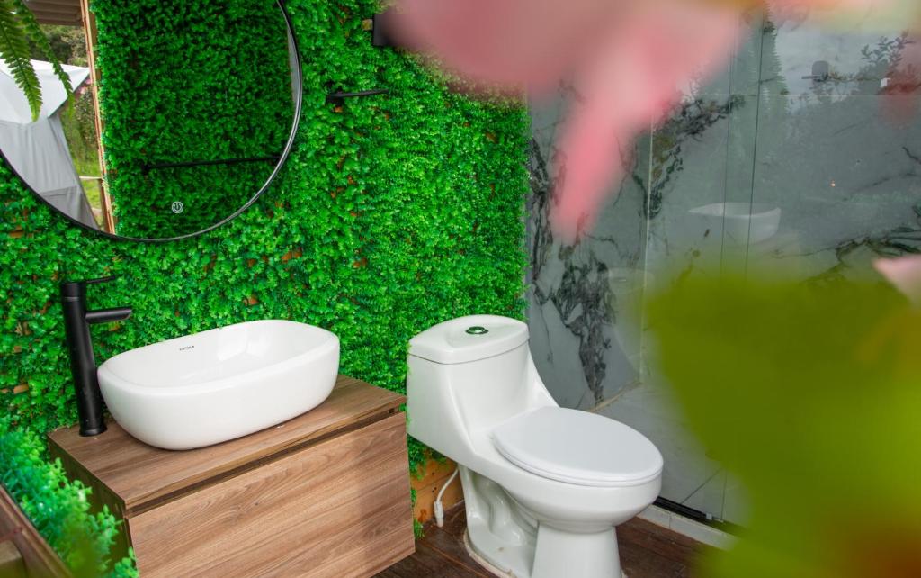 bagno con parete verde, servizi igienici e lavandino di Glamping Yáku a Tenjo