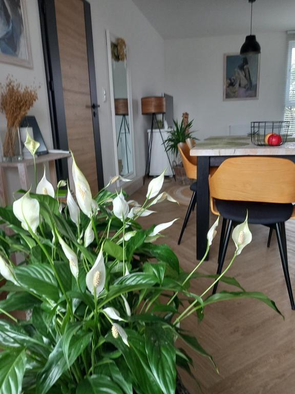 Η κουζίνα ή μικρή κουζίνα στο Apartament w centrum z panoramą miasta