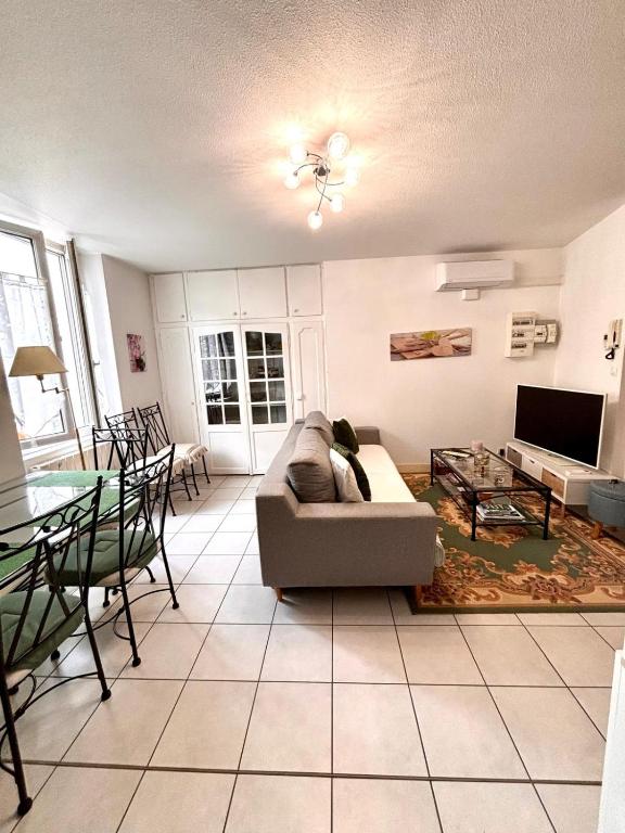 un salon avec un canapé et une table dans l'établissement Chez Lucia appartement climatisé, à Périgueux