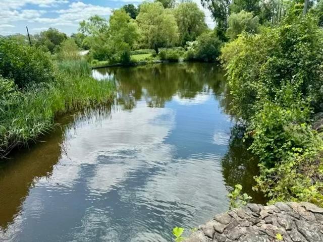 Příroda nedaleko motelu