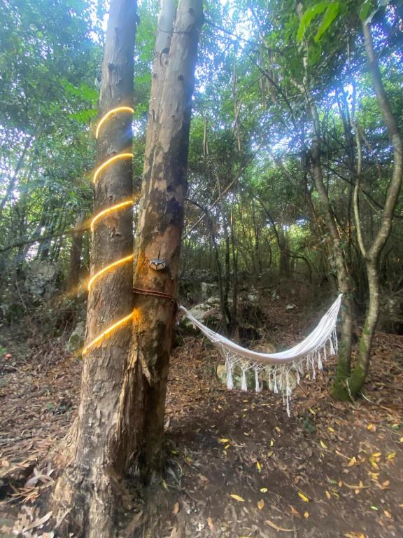 Zahrada ubytování Glamping La Maeta
