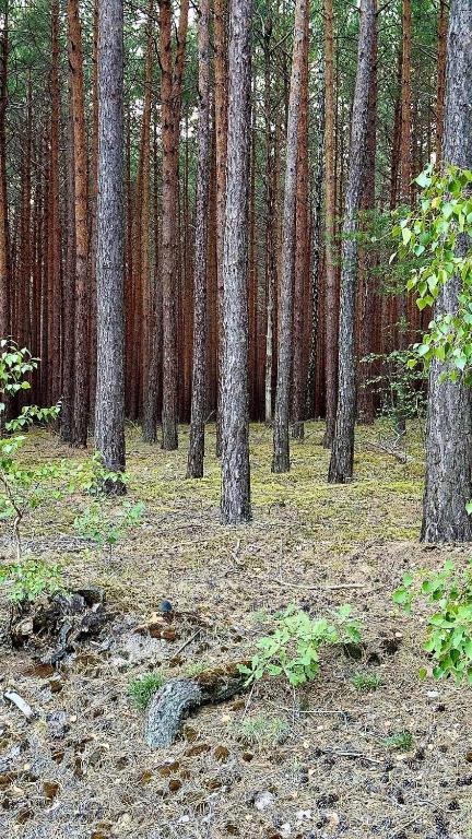 Fotografia z galérie ubytovania Jak u babci na wsi v destinácii Siemichocze