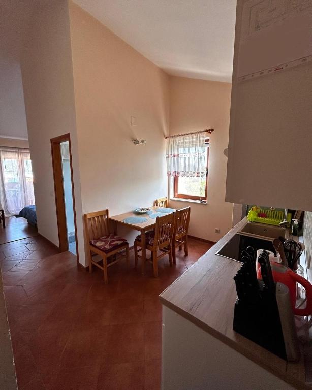 Kuchyňa alebo kuchynka v ubytovaní Apartment Ilovik 8069a