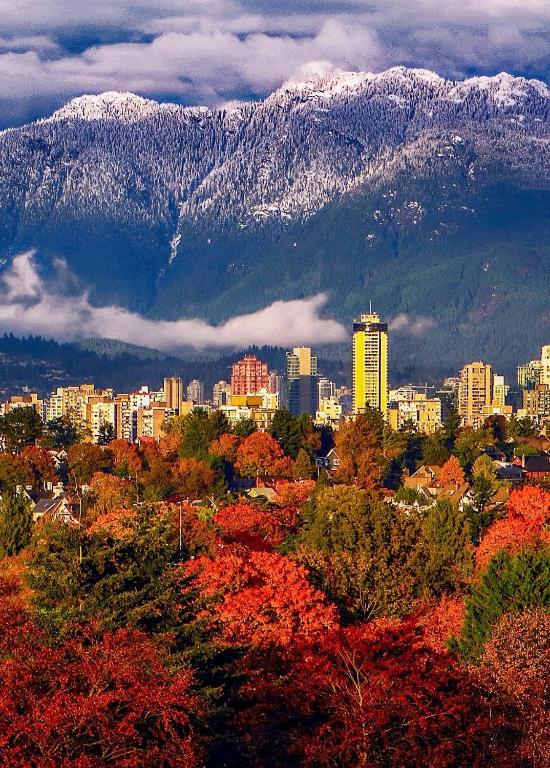 7 Bedrooms in the Heart of Vancouver - Resim 31