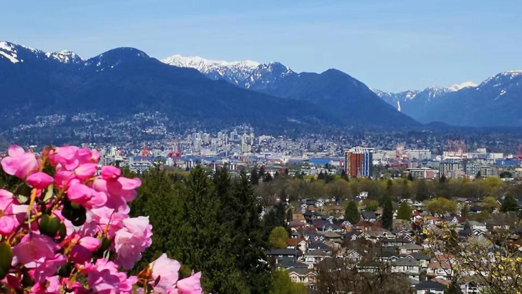 7 Bedrooms in the Heart of Vancouver - Resim 30