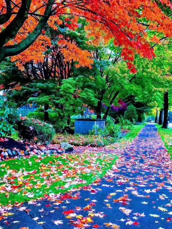 7 Bedrooms in the Heart of Vancouver - Resim 36