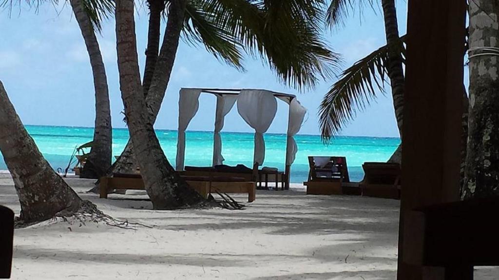 a beach with a tent and palm trees and the ocean at Cadaques Caribe Pez 103 in Bayahibe
