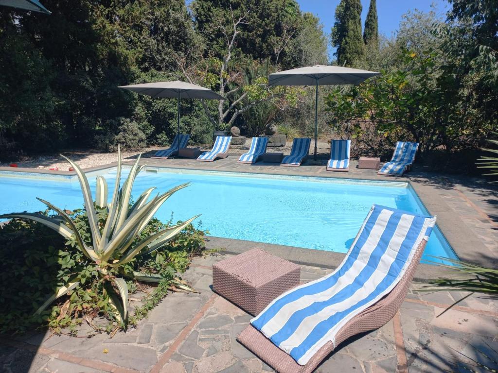 The swimming pool at or close to Etna Botanic Garden