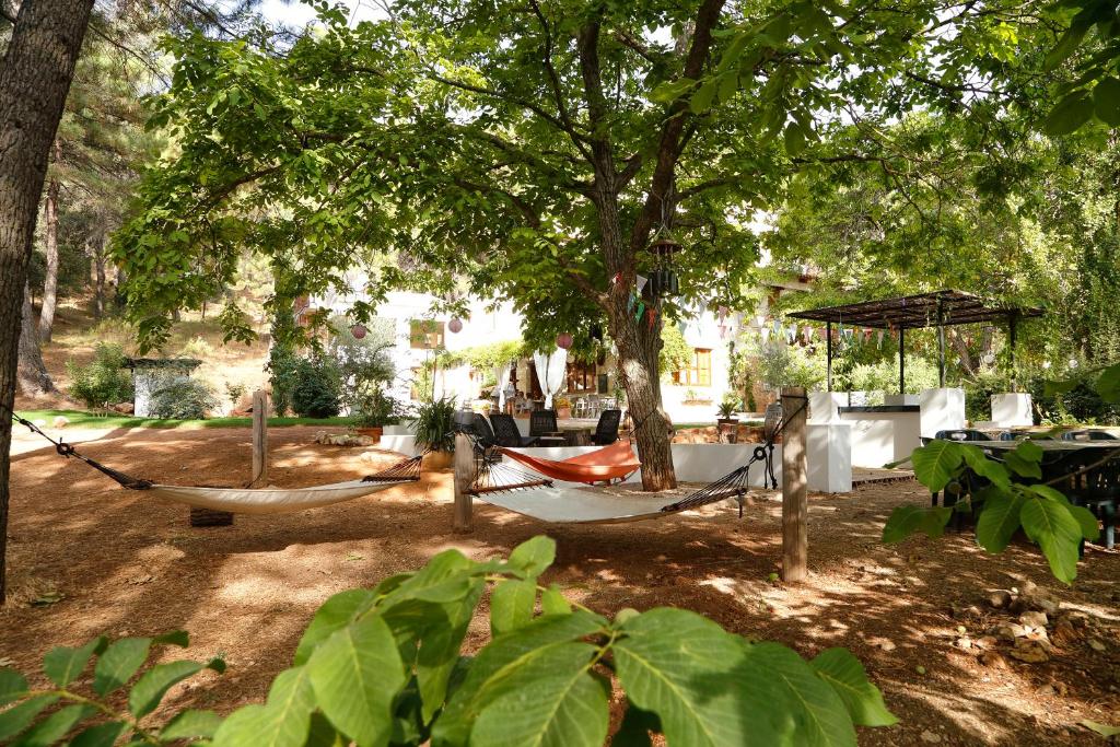Zahrada ubytování Cortijo De Ramón