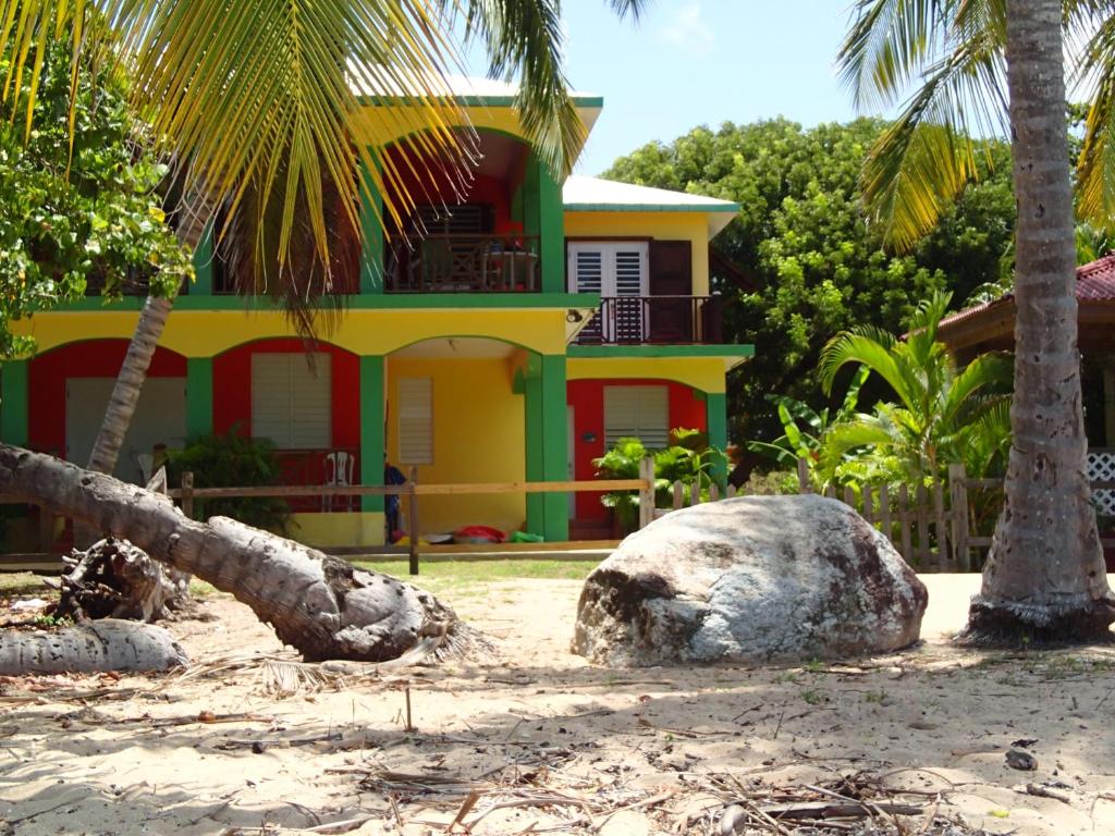 una casa en la playa con una palmera en Ababor Suites Guesthouse, en Vieques