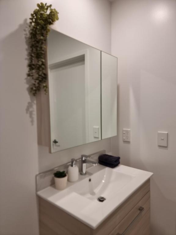 Brand new Central Studio on Wilmer - Resim 18