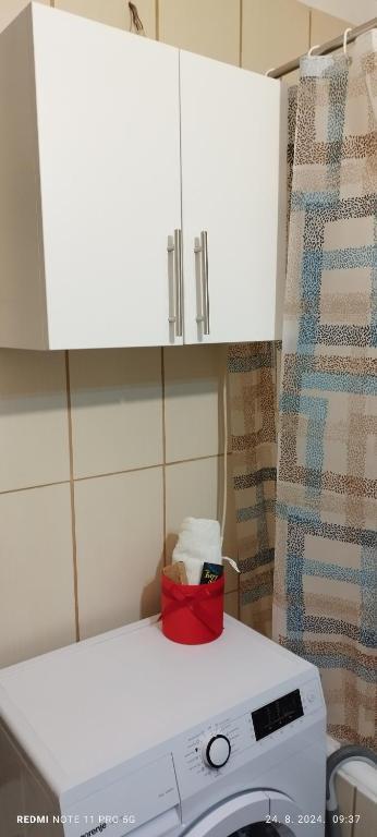 Kuchyň nebo kuchyňský kout v ubytování Apartman LENA