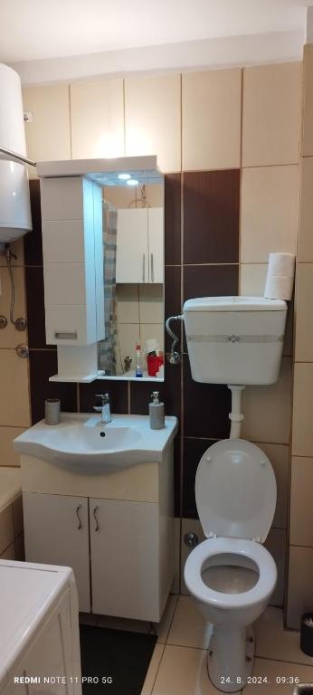 Koupelna v ubytování Apartman LENA