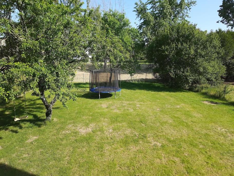 Photo de la galerie de l'établissement Studio Mio, à Metz