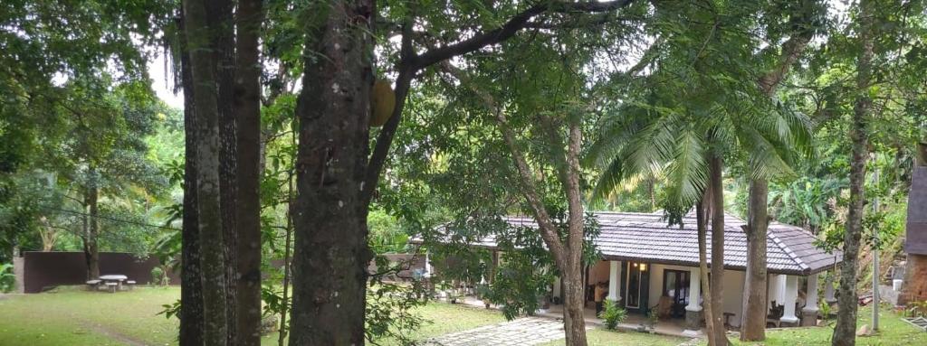 Zahrada ubytování Villa D55