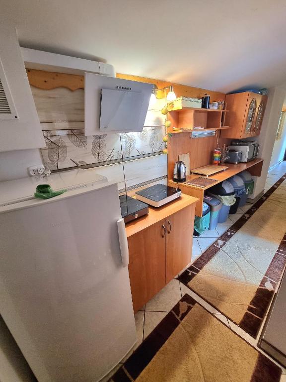 Kuchyňa alebo kuchynka v ubytovaní Kacperek w centrum Willowa 4A