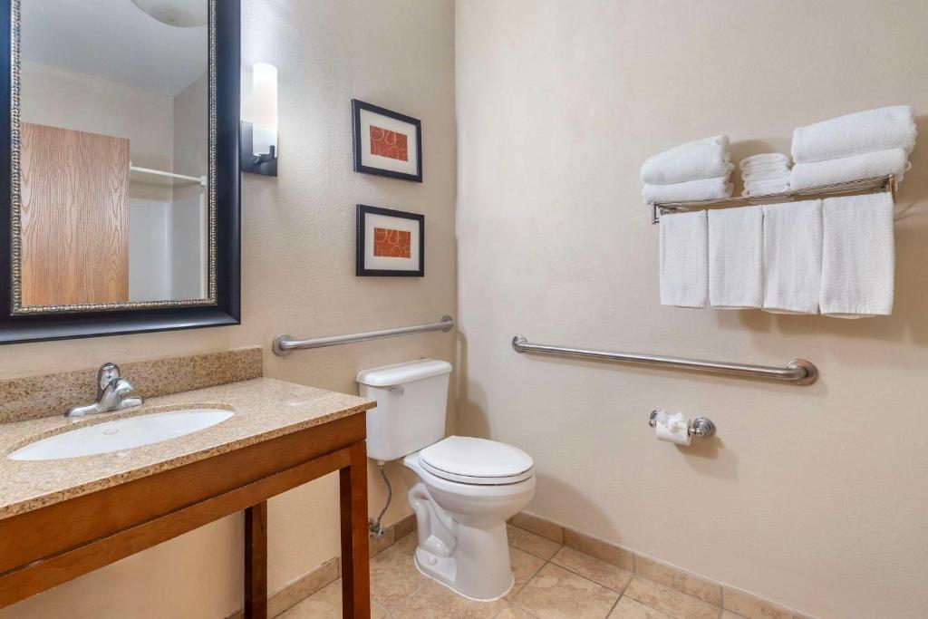 Koupelna v ubytování Comfort Suites McKinney-Allen