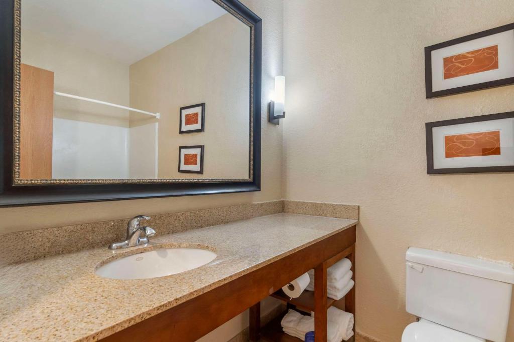 Koupelna v ubytování Comfort Suites McKinney-Allen