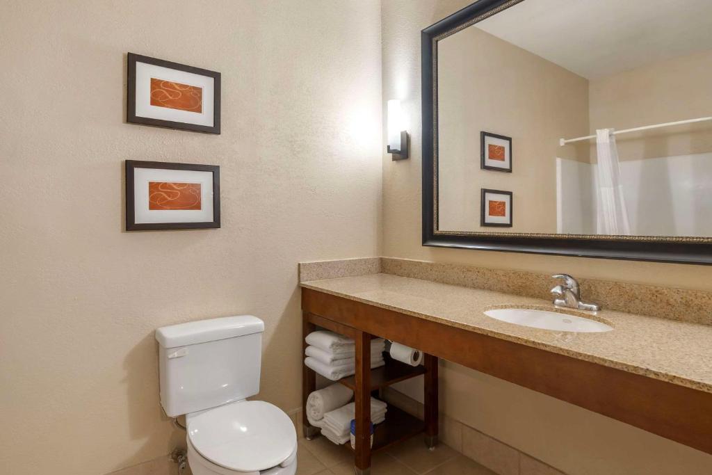 Koupelna v ubytování Comfort Suites McKinney-Allen