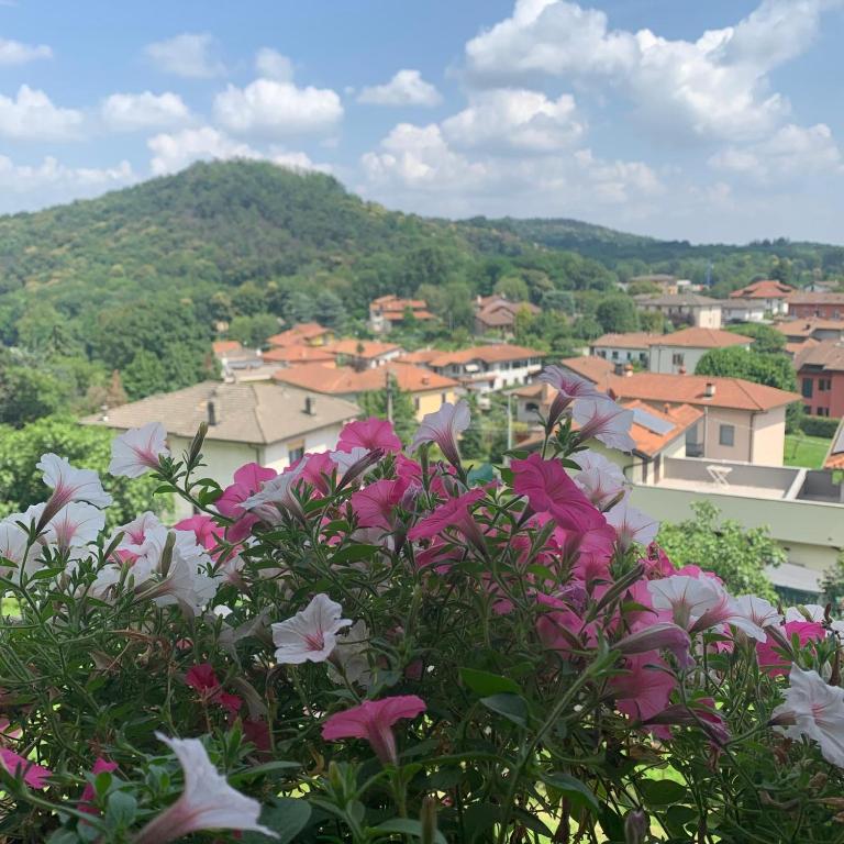 Nespecifikovaný výhled na hory nebo výhled na hory při pohledu z bed and breakfast