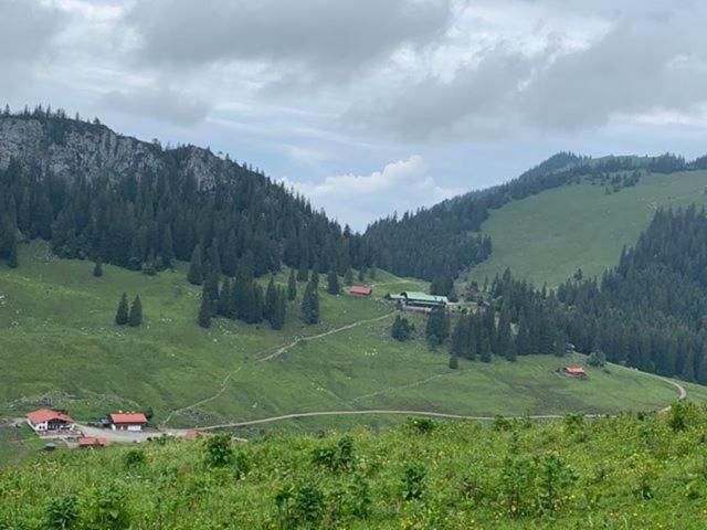 a lush green hillside with a house in the middle at Untere Firstalm in Schliersee