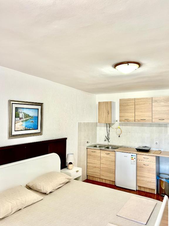 Kuchyň nebo kuchyňský kout v ubytování Apartments Jankovic