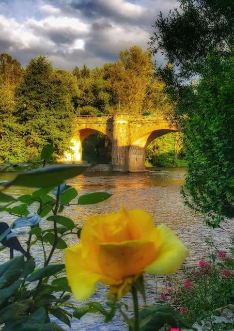 une fleur jaune devant un pont dans l'établissement La maison des Chevaliers, à Campagne-sur-Aude