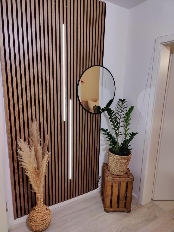 a mirror and a potted plant in a room at Bliss - 2 Schlafzimmer, Boho, Netflix, Arbeitsplatz in Wiesbaden