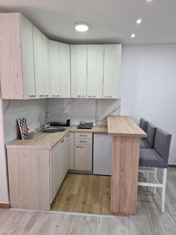 Kuchyň nebo kuchyňský kout v ubytování Zed apartmani Leskovac