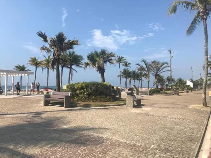 a park with benches and palm trees on the beach at Apartamento porta da praia - Ocian in Samaritá