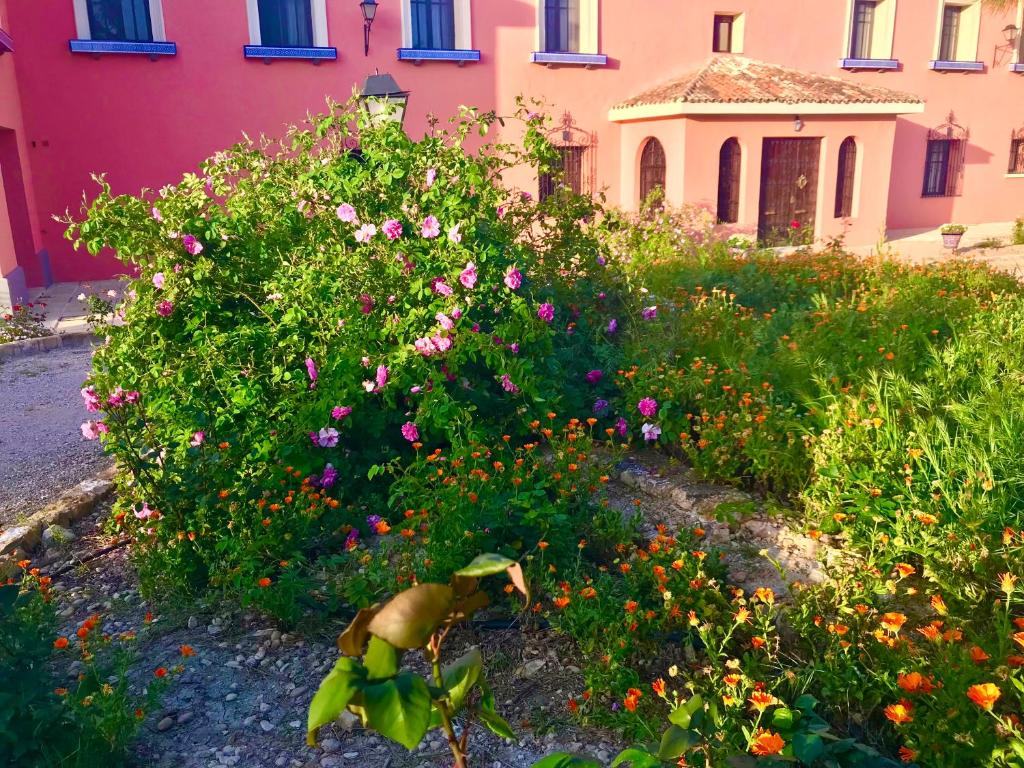 A garden outside La Almedina: Palacio de Foronda