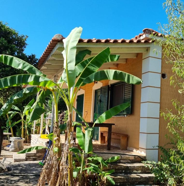 a house with a banana tree in front of it at Kuqa Rent House in Ksamil