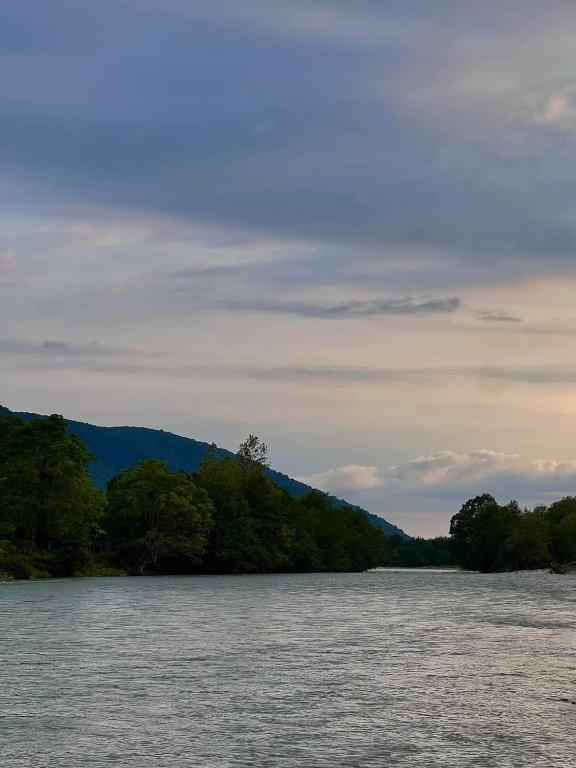 a body of water with trees in the background at Leaf in Namikolavo Pirveli