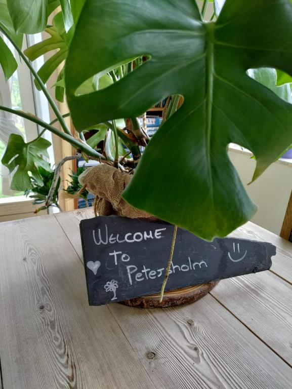 Fotografie z fotogalerie ubytování Petersholm v destinaci Odder